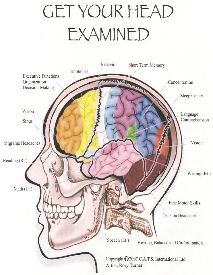 Cranial Adjusting